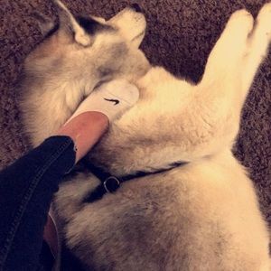 Meet your Posher, Jillian